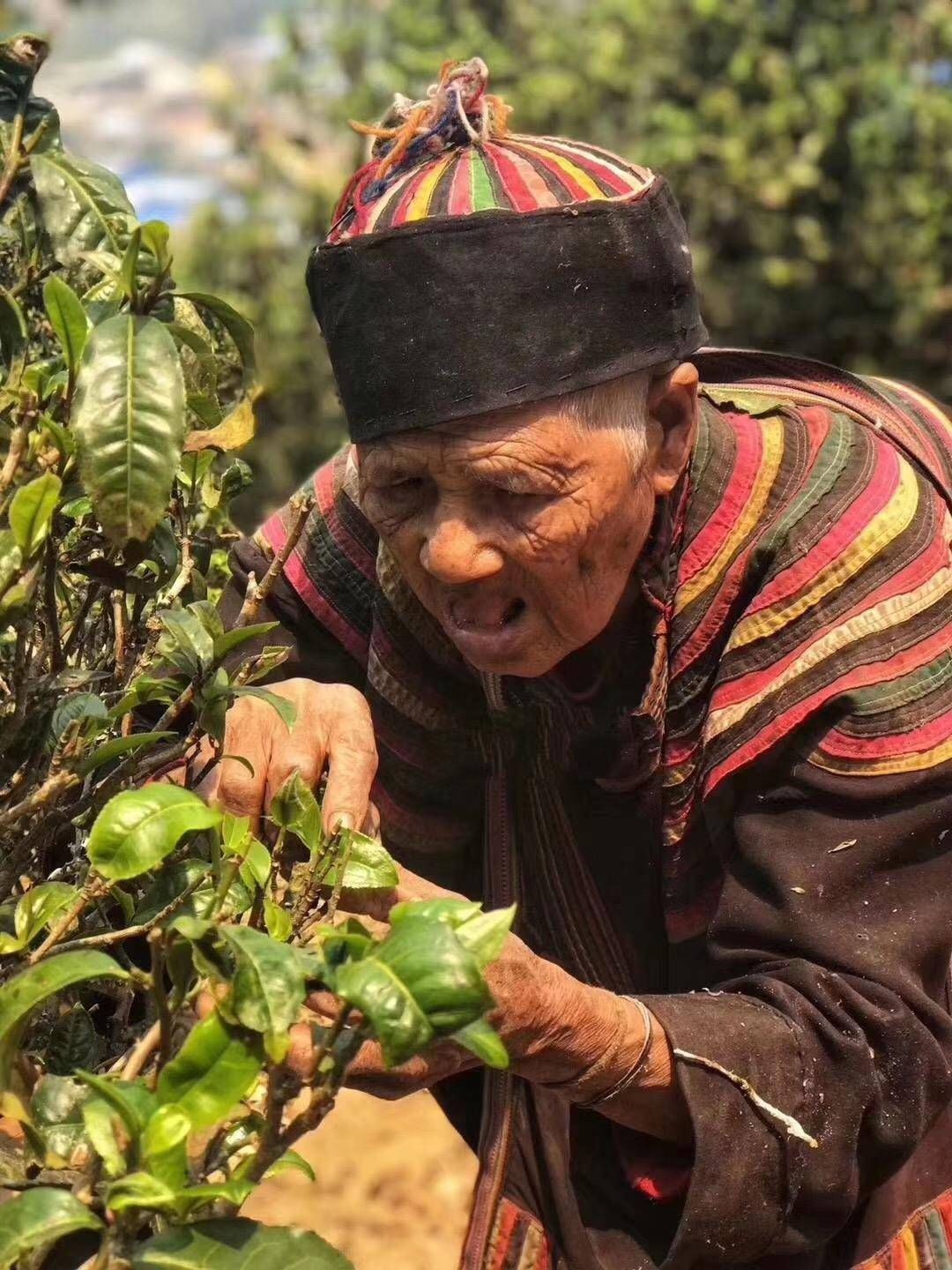  马司|火遍全网的当代茶马司，関作茶首都打卡