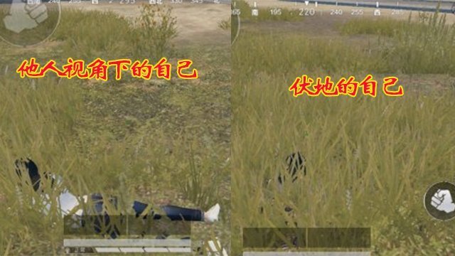 官方|吃鸡设置中存在一把“钥匙”,可轻松开启官方“内挂”