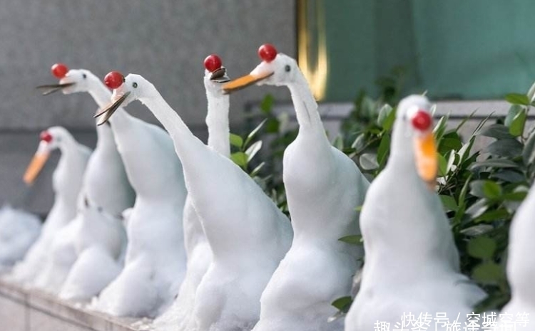 意外|高手在民间之银行保安,堆雪人意外走红,许多游客到银行门口打卡