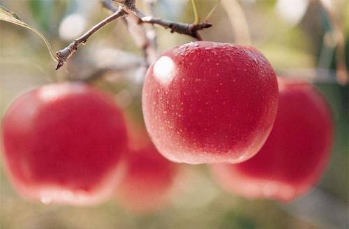 爱美女性可以多吃3种食物，补血护肤，抗衰老，增强体质