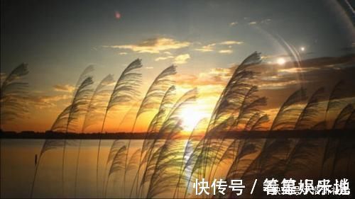 作者#一首意义深刻的诗,全篇语言犀利又辛辣,其中两句最是出名
