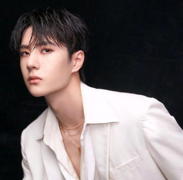 投票|投票结束!成毅逆袭夺得第一名,王一博被挤出前三,肖战保持不动