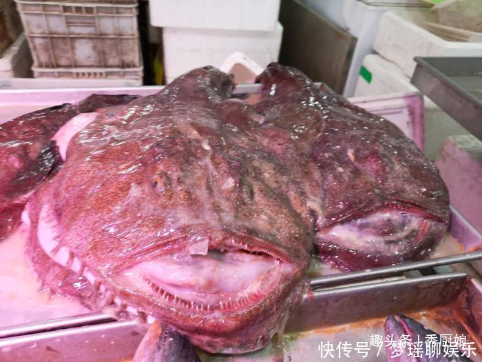  带鱼|过年吃鱼，就买此3种鱼，到现在也没法人工养殖，便宜吃着还放心