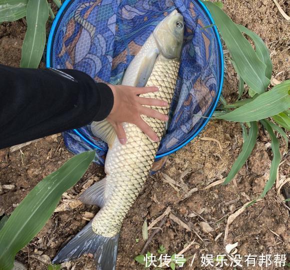 钓友|浅谈涨水退水钓鱼，其实都好钓，只是找准地方选对鱼
