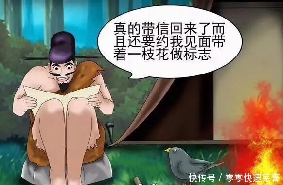 搞笑|搞笑漫画老杜离婚了，原来一直和他飞鸽传情的竟然是……