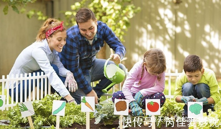 白眼狼|孩子将来不孝顺的3个信号,别把你的孩子养成“白眼狼”,注意啦