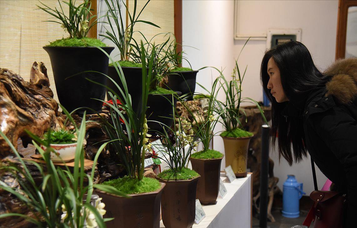 养兰花,3处“细节”做到位,枝叶常青,花香更持久