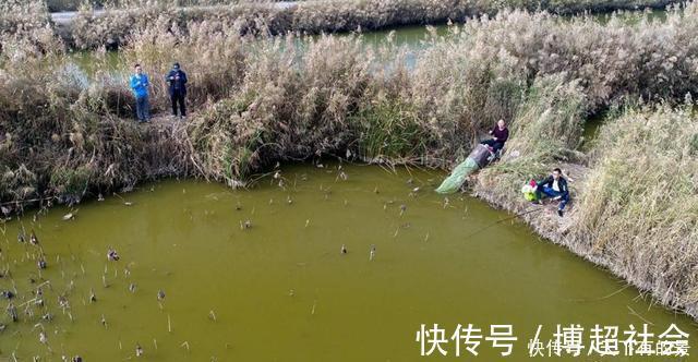 冬季钓鱼经验分享，出钓选择这3个时段，轻松告别不见鱼还冻成狗