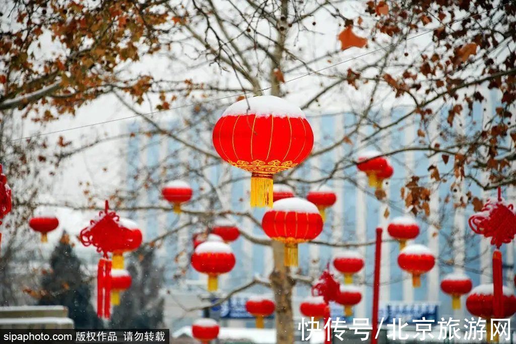 一夜之间|来啦！多图带你看紫禁城瑞雪，还有卖萌的熊猫、嬉戏的老虎~