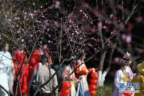 杭州|杭州：西溪湿地 曲水寻梅