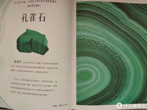 墙裂推荐（我的心爱之物）我的心爱之物作文200字 第12张