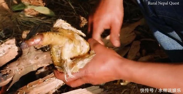 结婚|喜马拉雅山区农村结婚酒席,随礼500卢比,看看吃的什么菜