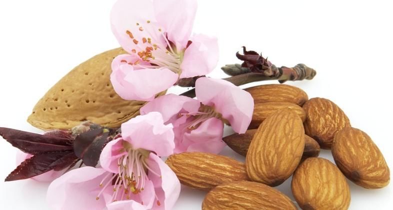 胆固醇|一天一把巴旦木,血糖血脂都能乖乖“听话”,你平时喜欢吃吗