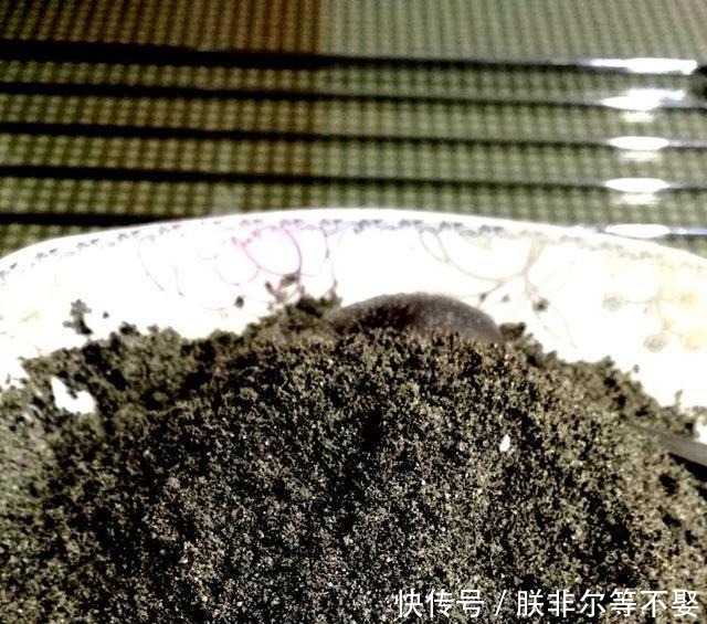 黑芝麻糊制作全过程!