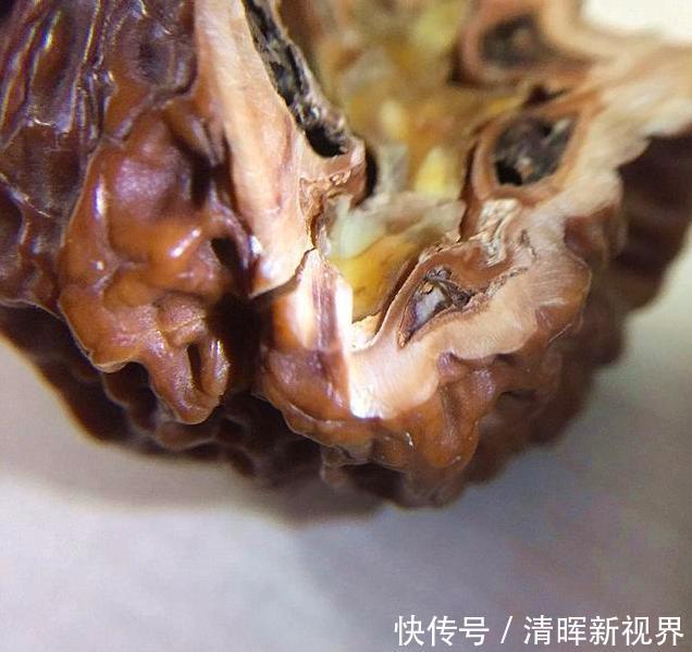 文玩核桃整个的很常见,但您见过切开来盘玩的吗