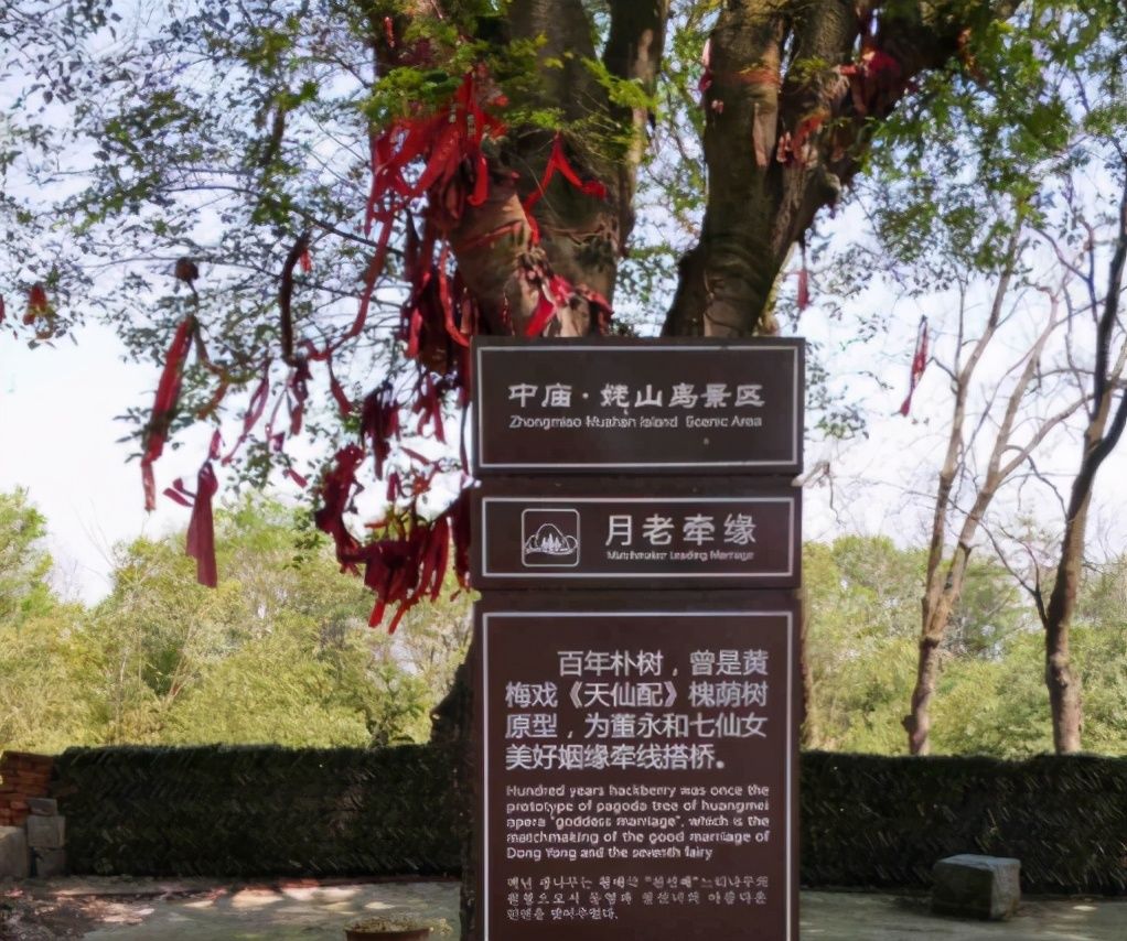 中年|合肥有个难得的湖上绿洲，登塔凭栏远眺，能见水天一色