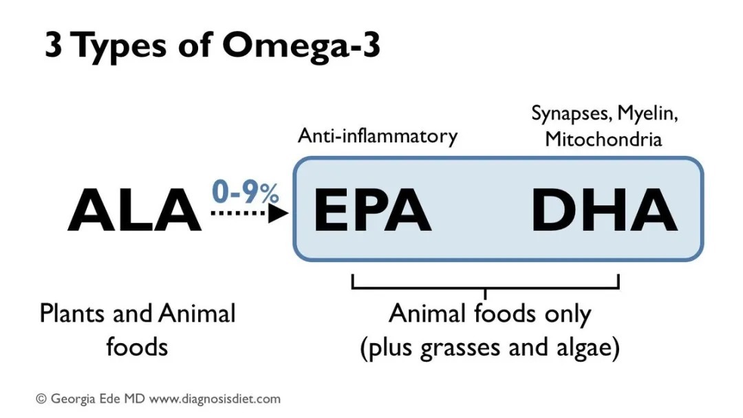 危害|都说ω-3脂肪酸好,到底有哪些好处?吃多了有没有危害?