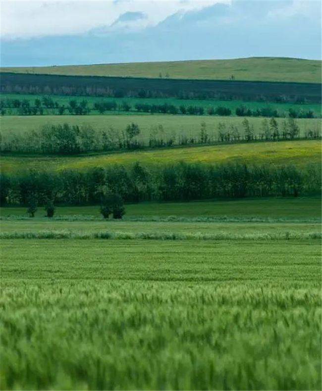 生活者|泛澳景观设计丨融创·美伦熙语一期：生活在公园式社区之中