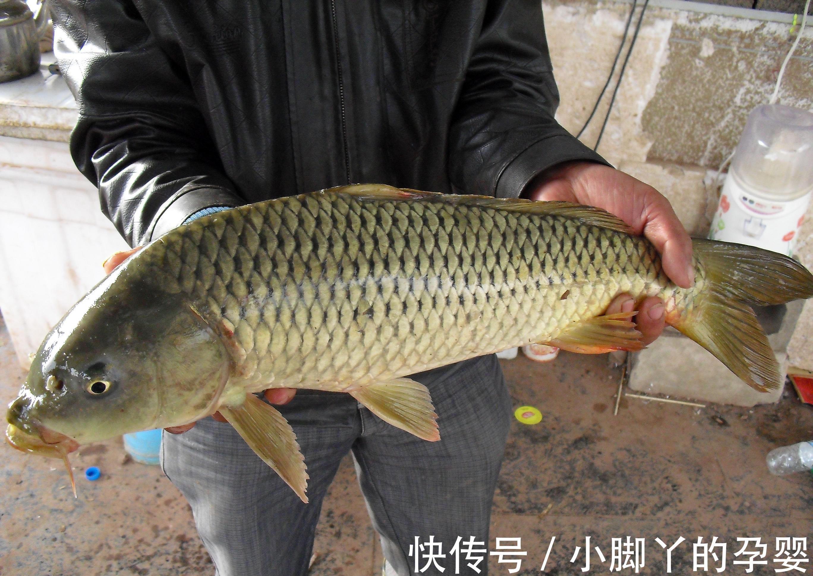 冬钓选钓位，就选这四个位置，天气越冷越聚鱼