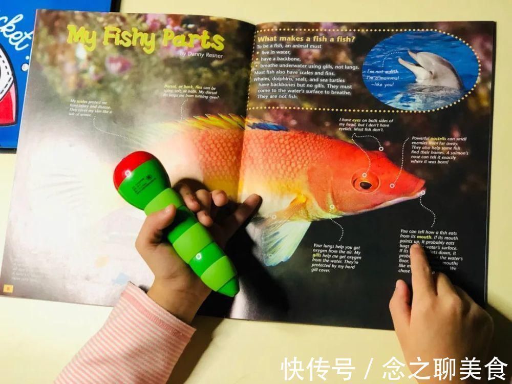 cc|怎么让孩子早睡?我用6年才总结出这3个方法,不看亏大了