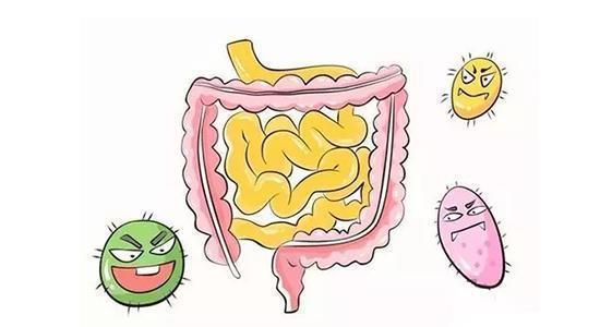 排便|上厕所大便,前头干硬,后头软粘,意味着什么?看完涨知识了