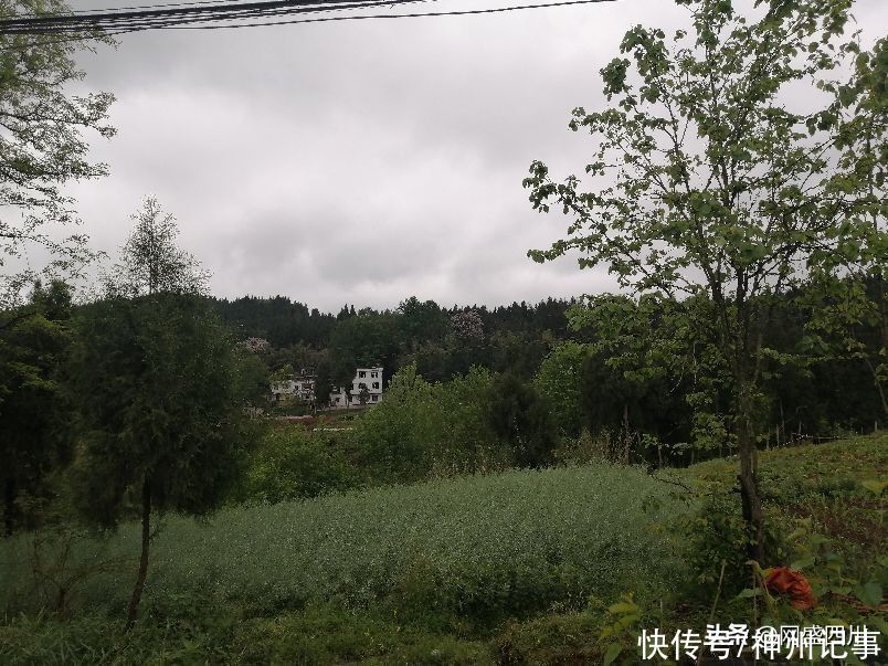 清明，在祭祖的路上看风景（二）