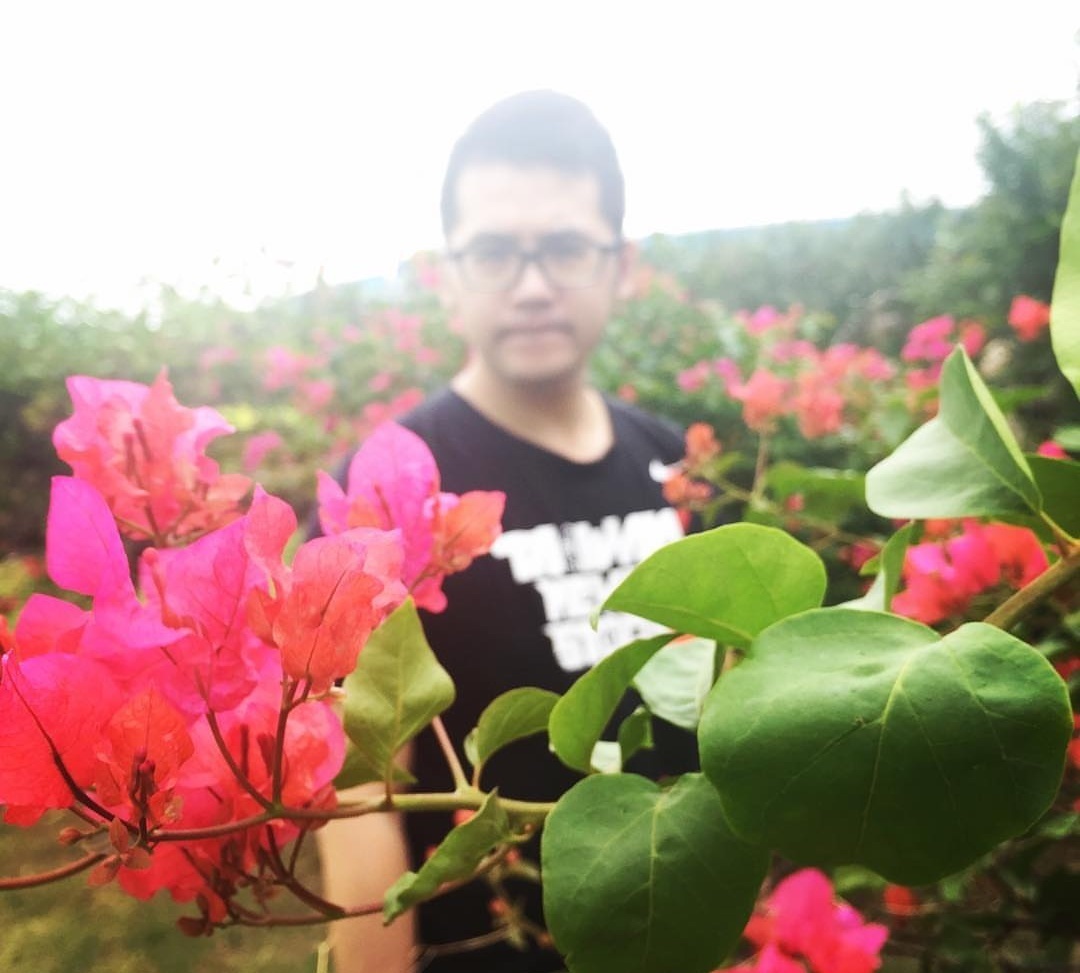 三角梅出现不开花，用1“小技巧”，开花多，天天有花赏！