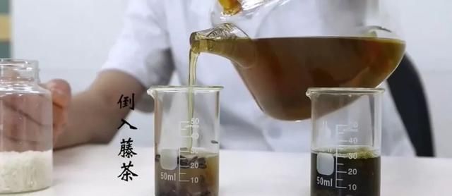 抗氧化|藤茶是如何抗氧化的？