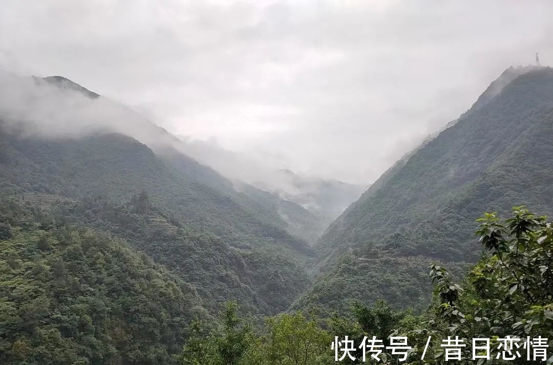 诗句|当年背到头秃的古诗,瞬间读懂了……