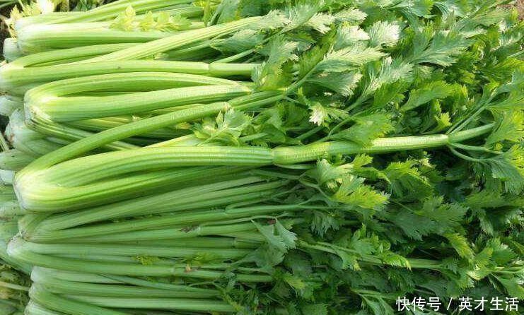 芹菜|忠告芹菜和此物是天生的敌人,不能一起食用,现在知道来得及