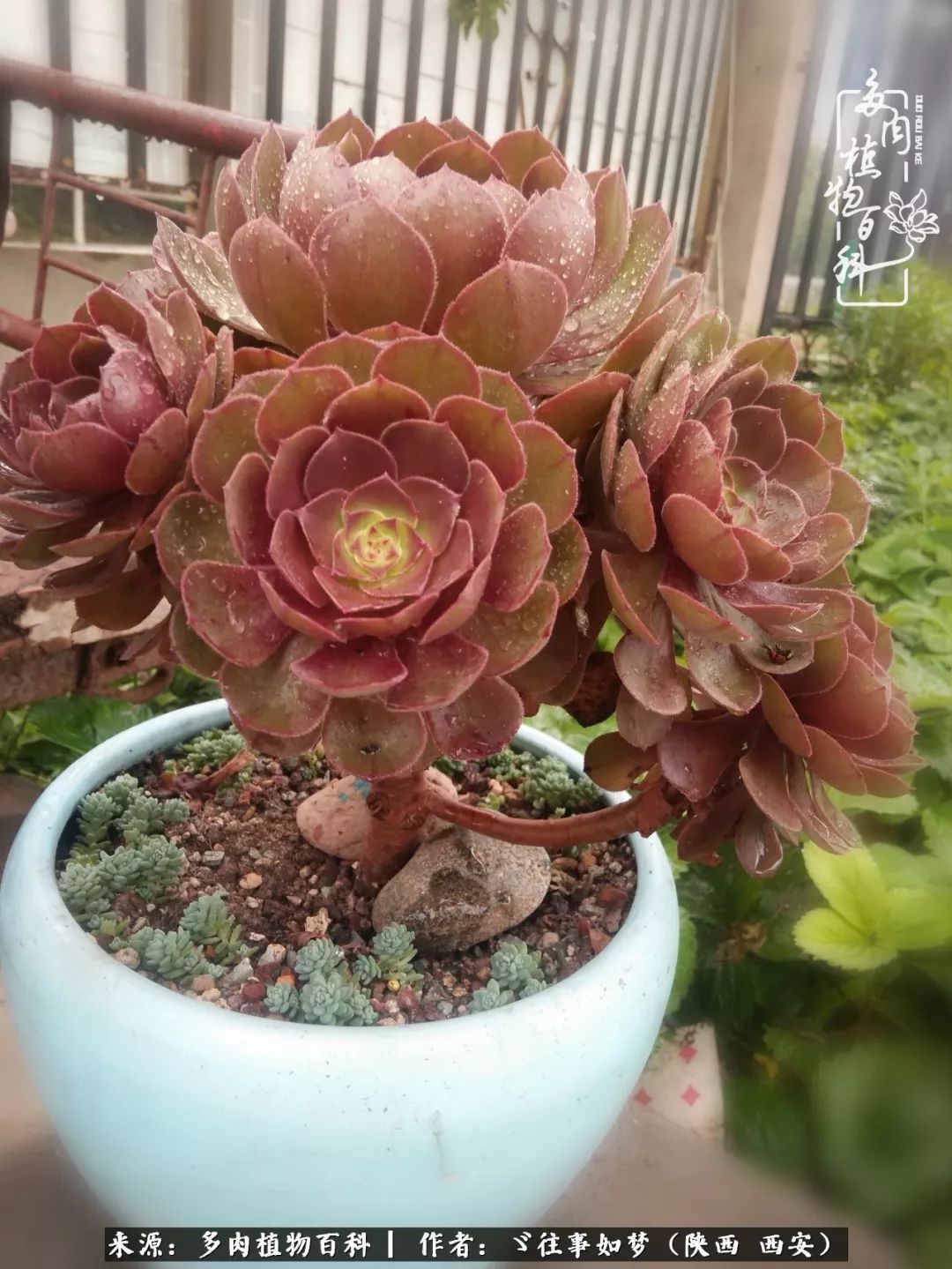 愿你付出甘之如饴，愿你所得归于欢喜！