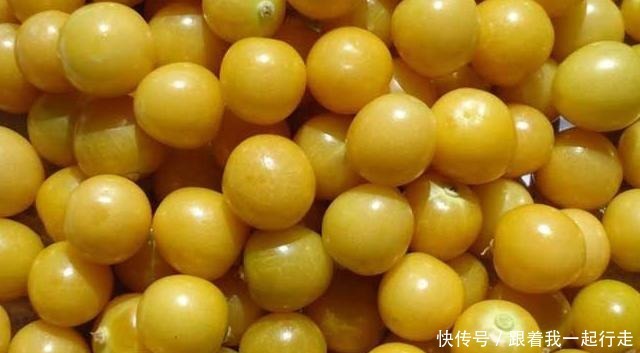 此野果含有21种微量元素,营养丰富40元一斤,8月成熟请收藏