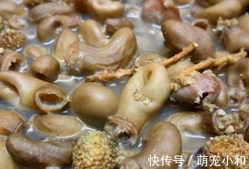 鱼肚|这道菜是“厌食”的克星，三天两头吃一回，健胃消食，胃口大开！