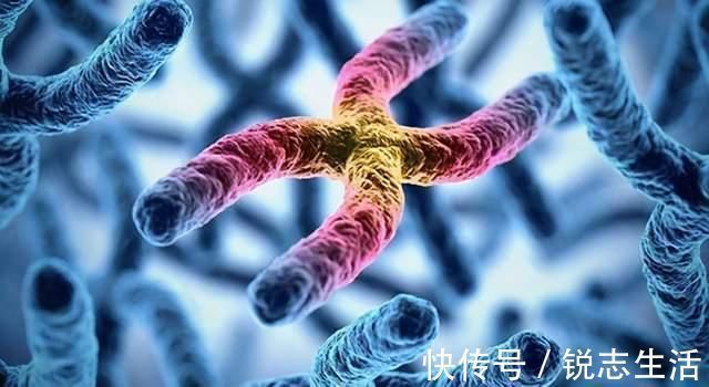 dn宝妈试管生下孩子,DNA却显示是“叔叔”的娃,宝爸:我是独子