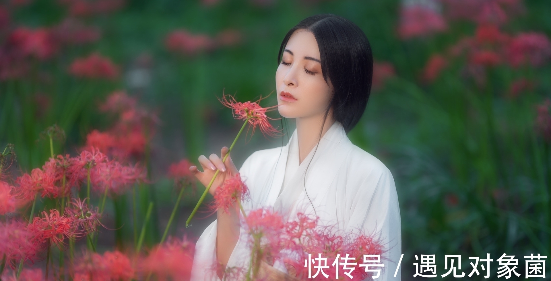 鸣蛙@诗·八首丨朝游野岭寻佳句,晚向渔樵举酒壶