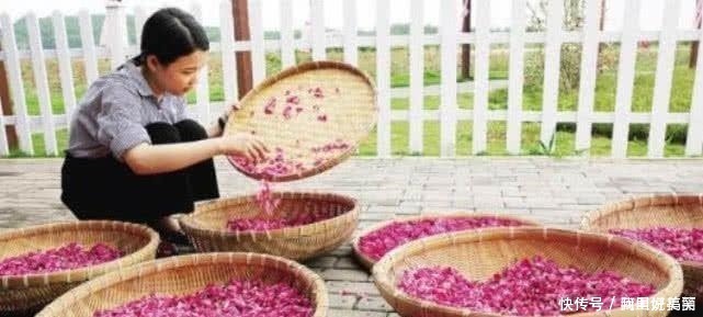 皱纹|皱纹最怕以下三种碱性食物，聪明女人经常吃，雌激素满满不衰老！