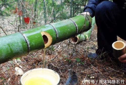 竹筒酒|网红竹子酒最大的“骗局”,竹筒里过一遍,就卖出天价