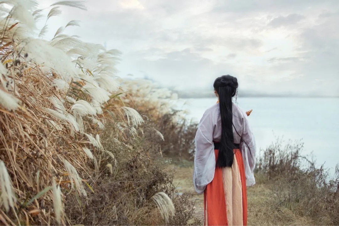 齐白石@《论语》最经典的5句话,自我提升的黄金法则