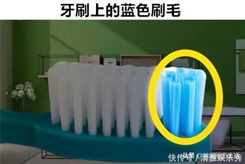 干燥剂|或许让你每天都会看见,但却并不知道背后真实用途的10个物品