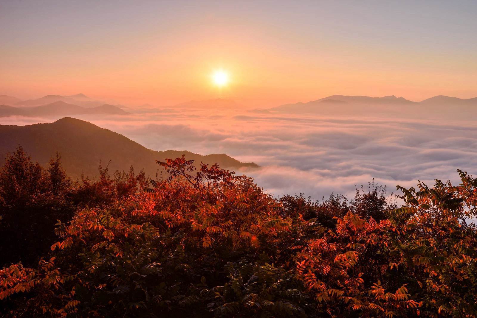 在职场|鼠·虎·牛3大生肖11月11号-12月31号霉运结束，接下来必行大运发大财