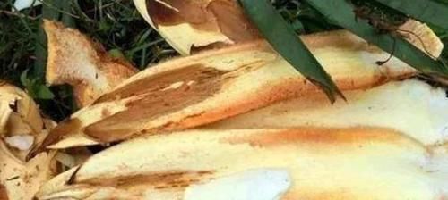 美容|女性到了中年,常吃3种食物,美容护肤,排