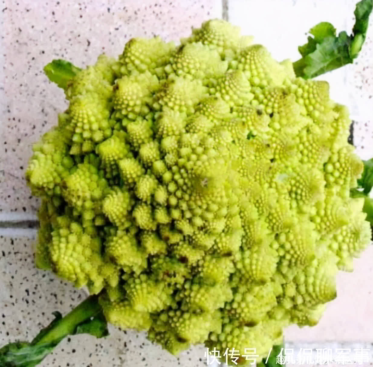 延缓衰老|对身体很好的3种食物,补充营养,延缓衰老,有益健康