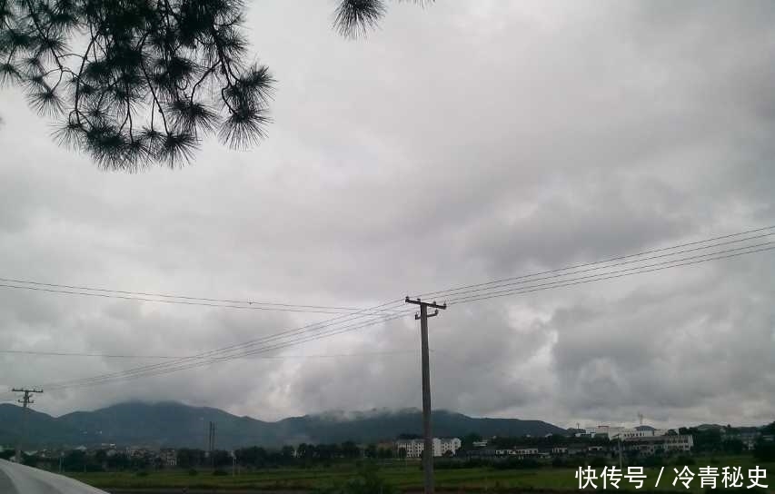 忙种|芒种——又叫“忙种”,是 二十四节气中的第九个节气