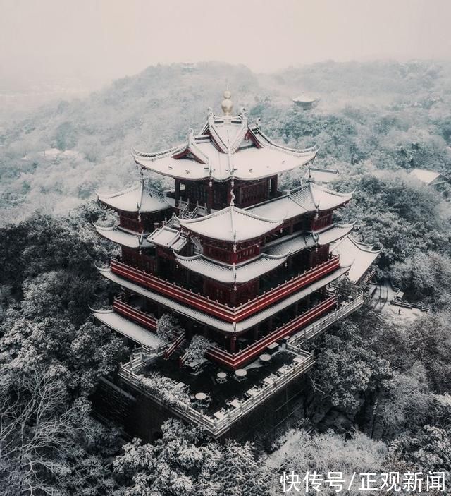 新昌大佛龙井|寻梦浙江