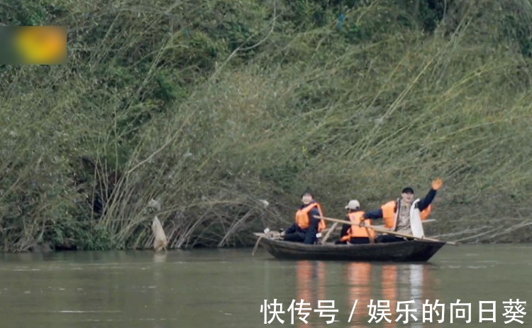 脾氣|《向往5》最懶嘉賓又來了,在節目種樹種到“吐”,脾氣都上來了