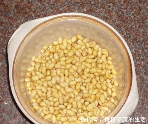 养花只用了黄豆水,不施肥也呼呼冒新叶,这人养花奇了!