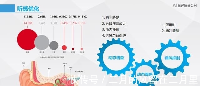 董芳芳|思必驰通话降噪与语音交互解决方案