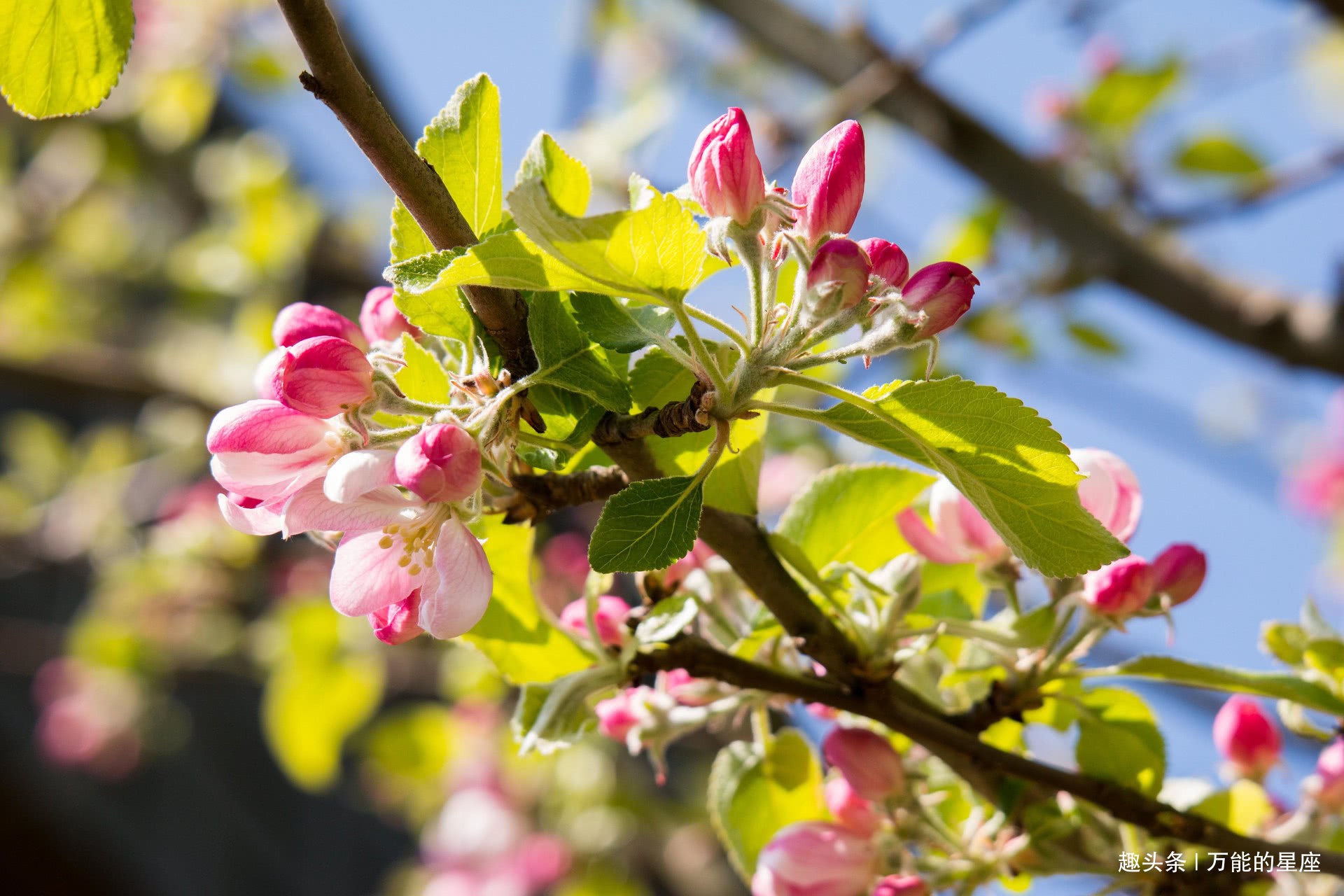 栩莹|这3个时间出生的娃,福气像宝藏,中年以后多才多福,父母也沾光