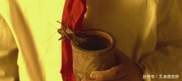 溥仪皇帝|老头到故宫门口，售票员不让进，老头：我来拿龙椅下的一件宝贝