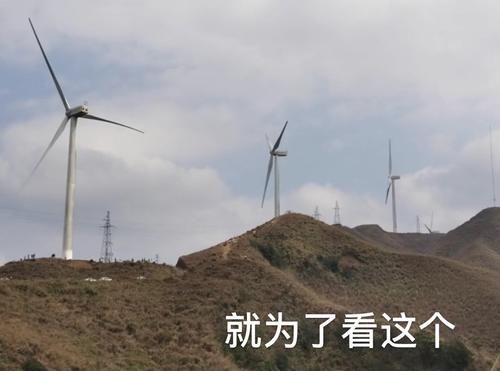 大年初一，广东茂名“风车山”上千辆车堵塞，有人躺车上睡几个钟然后回家了